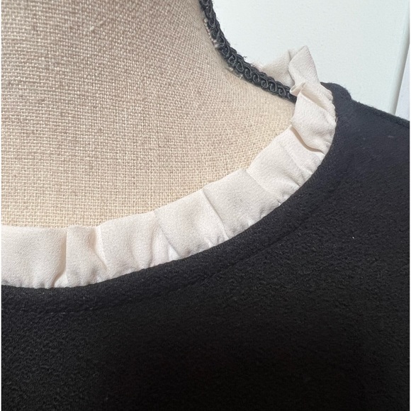 NWT Ann Taylor Loft Black White Ruffle Neckline Trim A Line Flounce Hem Dress - Picture 2 of 9